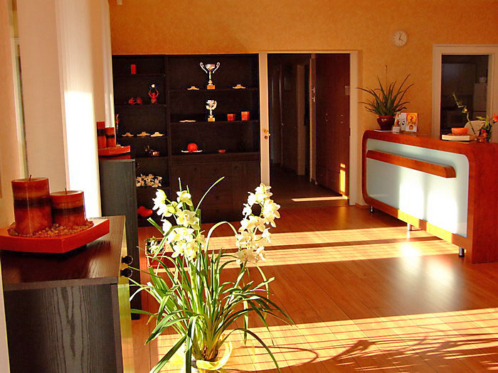 Rekreációs szalonunkban egy átfogó, az egészség és szépség harmóniáját biztosító program zajlik személyre szabott keretek között. - www.fonixszalon.hu